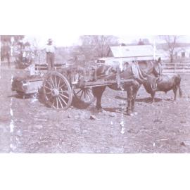 Unidentified workman with horse and dray