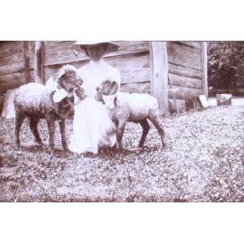 Unidentified woman with pet lambs