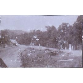 Bush roads