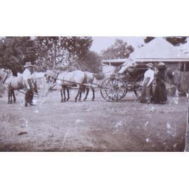 Horse drawn buggy with four unidentified people