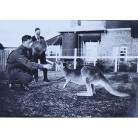 Soldier, man and kangaroo