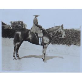 Woman on horseback