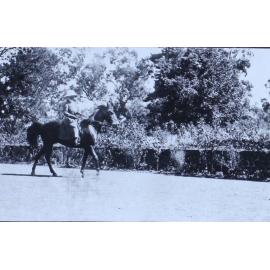 Woman on horseback in the gardens