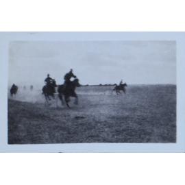 Horse racing in the desert