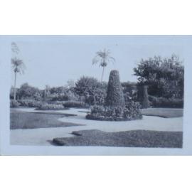 Garden scene