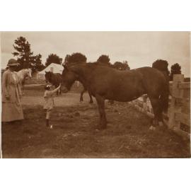 Unidentified woman and child with a horse