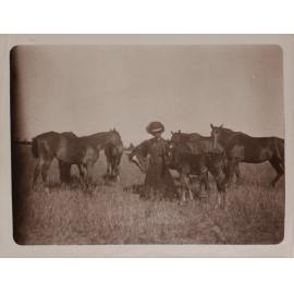 Unidentified woman with Vixen's first foal and other horses