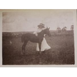'Three months' Vixen's first foal with an unidentified woman