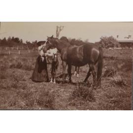 'One week' - Vixen's first foal