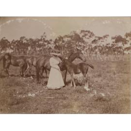 Vixen's first foal with an unidentified woman