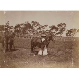 Vixen's first foal with an unidentified woman