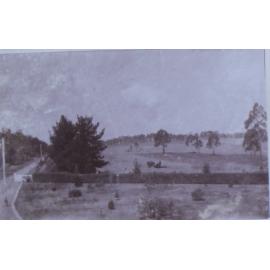 Views of Saumarez