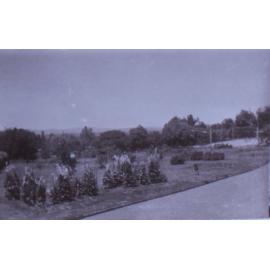 Views of Saumarez