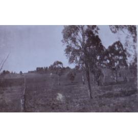Views of Saumarez