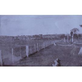 Views of Saumarez
