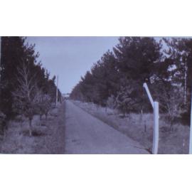Views of Saumarez
