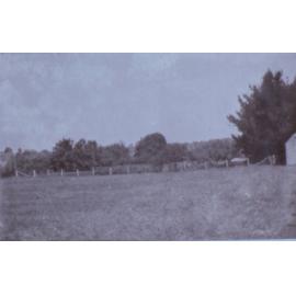 View of Saumarez