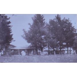View of buildings on Saumarez