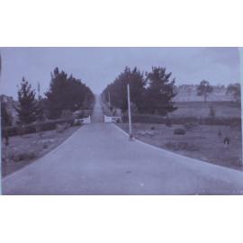 Driveway from Saumarez Homestead