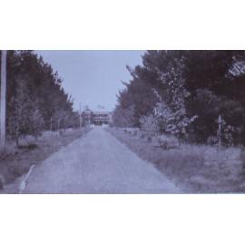 Driveway to Saumarez Homestead