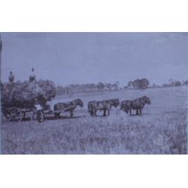 Hay wagon on Saumarez