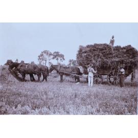 Workmen loading hay