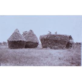 Haystacks