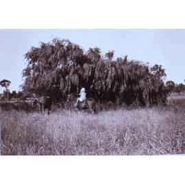 Unidentified child on horseback