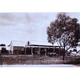 Three horses near farm buildings