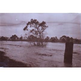 Saumarez Creek in flood