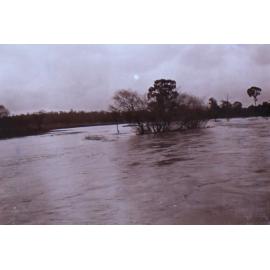 Saumarez Creek in flood