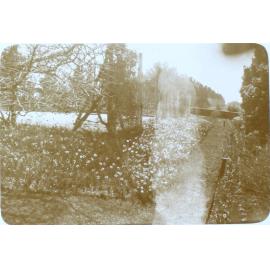 Flower gardens at Saumarez