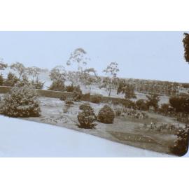 Overhead view of gardens