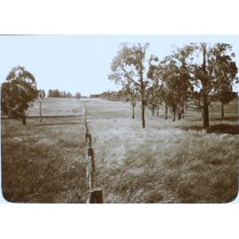 Fenceline on the property