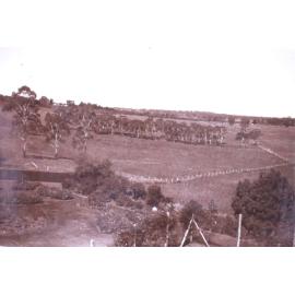 View from Saumarez Homestead