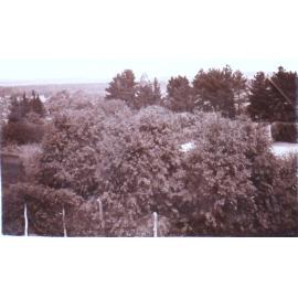 View from Saumarez Homestead