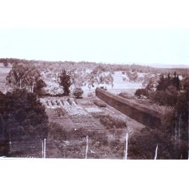 View from Saumarez Homestead