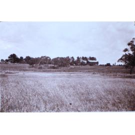 View of Saumarez Homestead