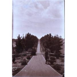 View from Saumarez Homestead