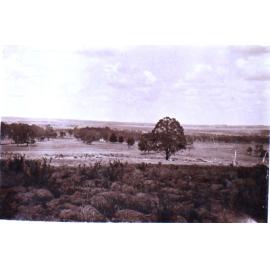 View from Saumarez Homestead