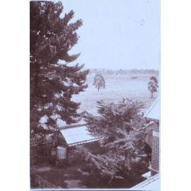 View from Saumarez Homestead