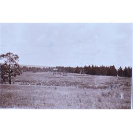 View of Saumarez Homestead