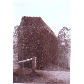 Saumarez Homestead gardens