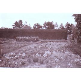 Saumarez Homestead gardens