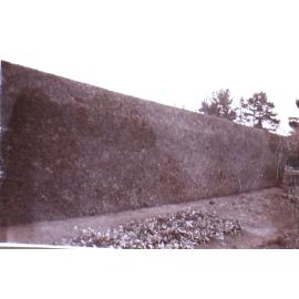 Saumarez Homestead gardens