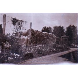 Saumarez Homestead gardens