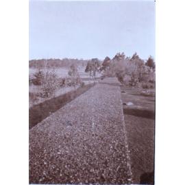 Saumarez Homestead gardens