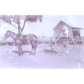 Unidentified man, woman and child in a horse and buggy