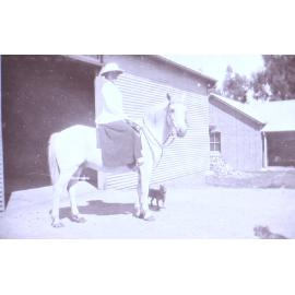 Unidentified woman on horseback with pet dogs