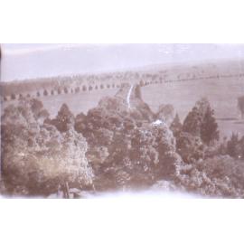 View of driveway with trees in the foreground